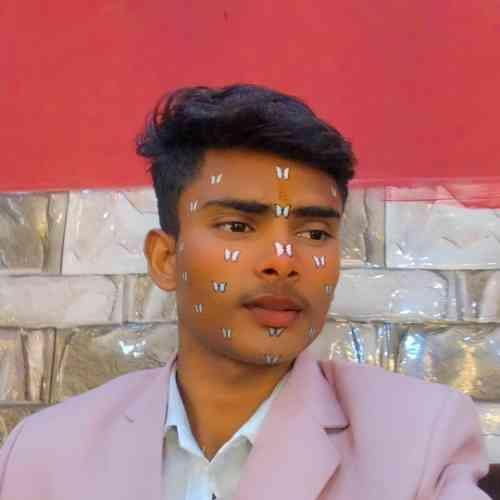 Pal Groom Marriage Biodata Id 69547