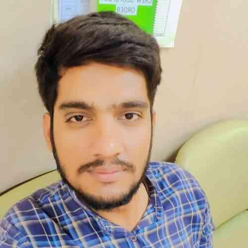 Punjabi Brahmin Groom Marriage Biodata Id 63719